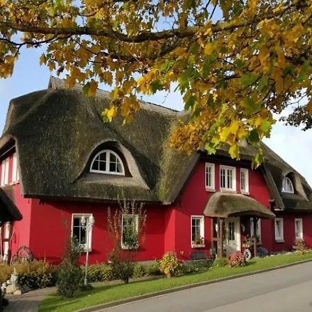 Karolas Landhus Unterm Reetdach Neu Reddevitz